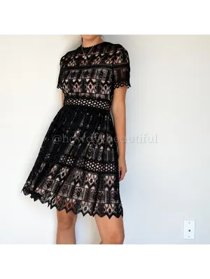 Alexis Black Crochet Guipure Lula Dress Size XS thumbnail 2