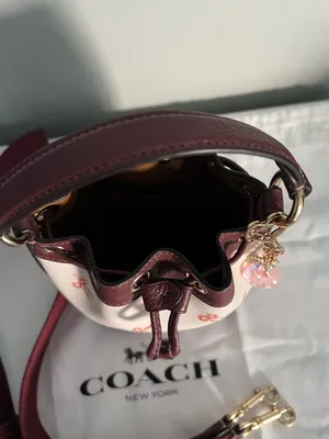 Coach  thumbnail 3