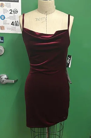 Apparel Embellished Cowl Neck Velvet Dress in Wine thumbnail 1