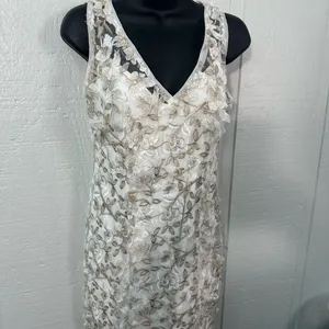 Adrienna Papell Off White Lace Overlay Sleeveless Dress Size 4 NWOT thumbnail 4