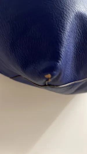 Ralph Lauren Purse thumbnail 6