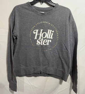Hollister Charcoal Crewneck Sweatshirt with Gold Accents Size M thumbnail 1
