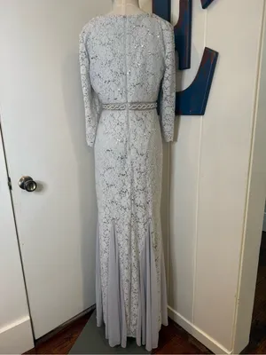 Alex Evenings Silver Grey Lace Long-Sleeve Evening Gown Sz 4 thumbnail 2