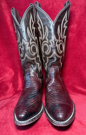 Justin L6977 Genuine Teja Lizard Vamp Embroidered Shaft Cowboy Boots Women US 5B thumbnail 1