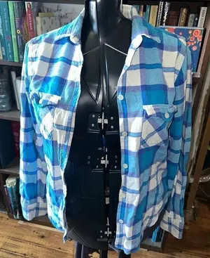 American Eagle M Favorite Fit blue plaid flannel lumberjack shirt thumbnail 1