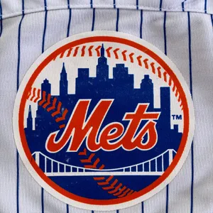 New‎ York Mets MLB Jersey Mini Purse Pinstripe Crossbody Bag Pro-FAN-ity METS thumbnail 2