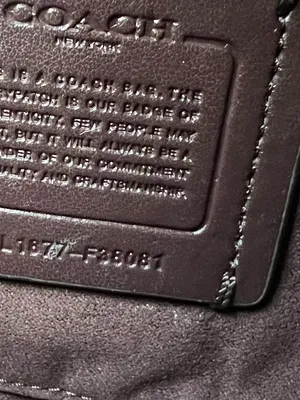 Embossed Crocodile Cassidy Chain Crossbody/Shoulder Bag thumbnail 8