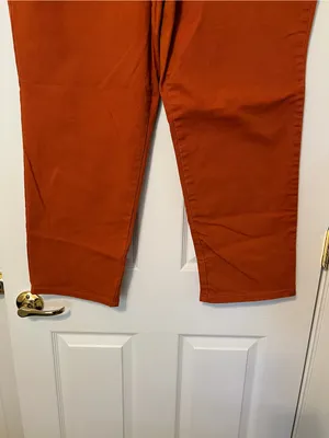 Gloria Vanderbilt Amanda cotton jean in burnt orange 20W Short thumbnail 9