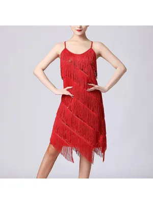 Women Salsa Latin Dance Dress Sequin Tassel Fringe Flapper Dress 1920s Costume S thumbnail 4