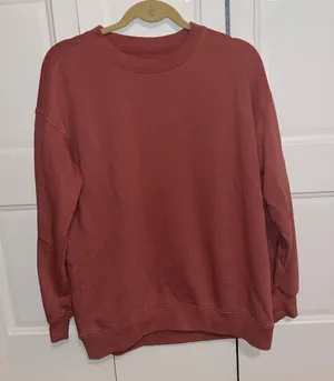 Aerie burnt orange crewneck size S oversized thumbnail 1