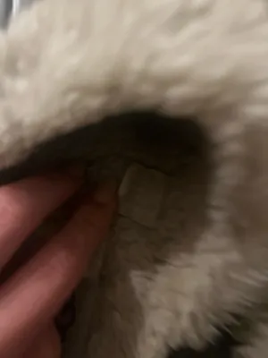 UGG Slippers thumbnail 4