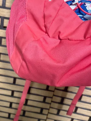 The North Face Coral And Blue Jester Backpack thumbnail 5