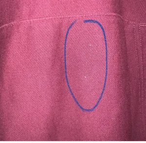 Champion Hoodie Unisex maroon  thumbnail 4
