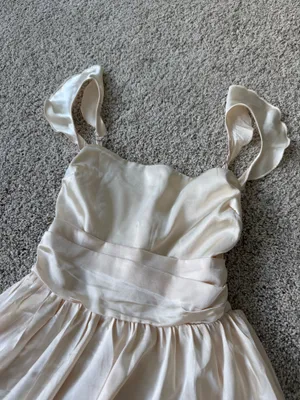 Lucy in the Sky Fit and Flare Dress in Champagne thumbnail 5
