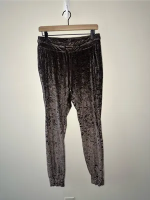Lululemon Ready to Crush Jogger velvet velour French Press size 8 W5DAKS thumbnail 7