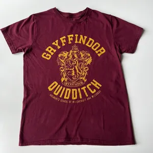 Harry Potter Gryffindor Quidditch Short Sleeve Tee in Maroon Yellow Size S thumbnail 1