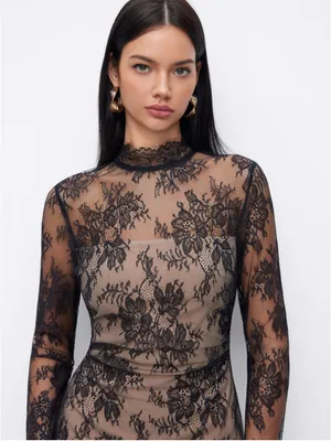 Cider Black Lace Stand Collar Long Sleeve Straight Mini Dress Size 10 thumbnail 4
