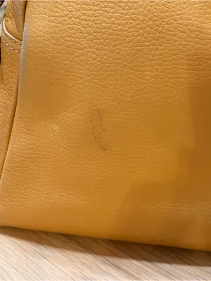 Loewe Vintage Anagram Embossed Camel Gold Leather Camera Shoulder Bag Amazona thumbnail 9