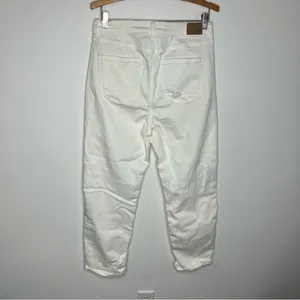 American Eagle‎ Outfitters white Mom Straight Jeans size 10 thumbnail 10