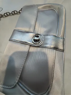 Silver Chain thumbnail 2