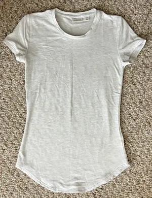 Aritzia Heather Grey Babaton T-Shirt thumbnail 2