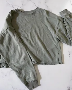 American Eagle Cropped Crewneck  thumbnail 1