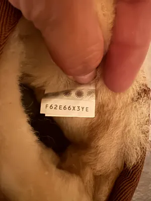 UGG Classic Mini II Genuine Shearling Lined Boot casual comfy outdoor winter thumbnail 12