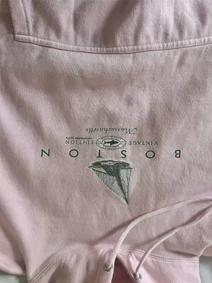 Authentic Life Apparel Pink Vintage Boston Hoodie thumbnail 2