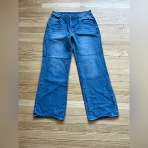 Blue Flare Wide Leg Jeans with Red Embroidery thumbnail 2