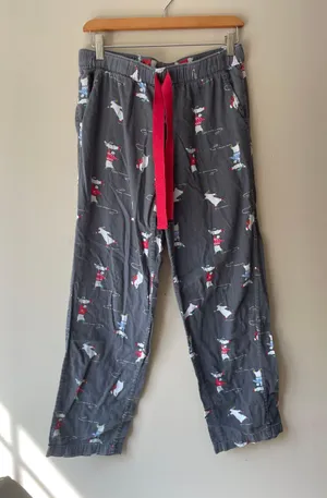 Aerie pajama pants thumbnail 2