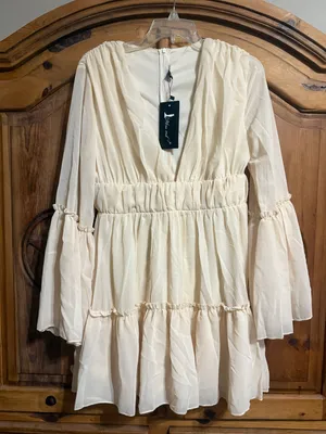Missy Ord Beige Chiffon Mini Dress thumbnail 1