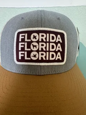 Florida FSU Colored Animal Logo Hat - BNWT - Never Worn! thumbnail 2