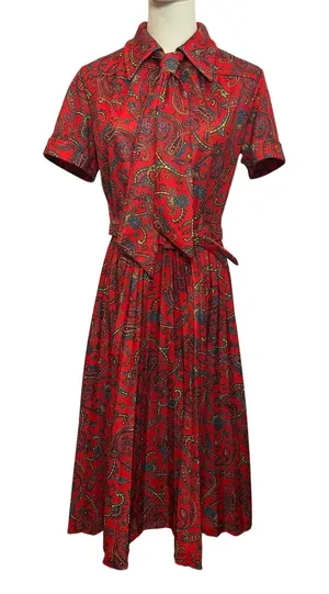 VTG 70s Red Paisley Dagger Collar Midi Dress with Matching Belt M Whimsygoth thumbnail 1
