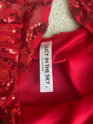 Lucy in the Sky Red Sequin Mini Dress thumbnail 2
