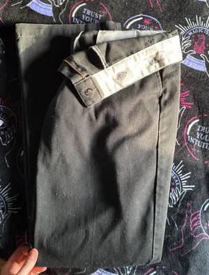 Dickies cargo pants thumbnail 1