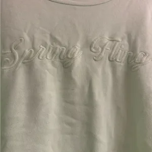 Aerie Crew Spring Fling Pleated Oversized Sleeve Real Fleece Sweatshirt - size L thumbnail 2