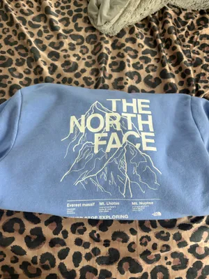 The North Face Hoodie thumbnail 3