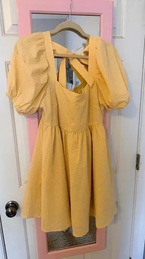 Mabel Puff Sleeve Mini Dress thumbnail 2