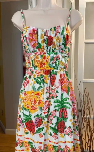 ✨NWT Farm Rio Fruit Print Dress Small✨ thumbnail 1