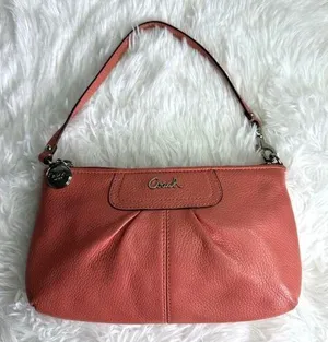 COACH y2k Ashley Mini Purse Wristlet Mini Purse thumbnail 1