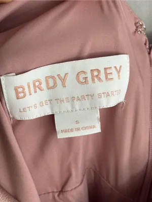Birdy Grey Catherine Shiny Satin Dress thumbnail 4