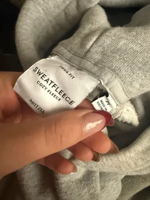 Aritzia Mega Raglan Hoodie thumbnail 4