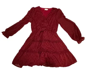 Altar'd‎ State Mini Dress Burgundy Red Medium Swiss Dot Boho Holiday Party thumbnail 1