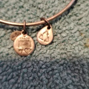 Alex & Ani Bangle Bracelet thumbnail 3