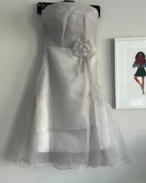 Source Unknown Silver Chiffon Mini Party‎ Dress thumbnail 1