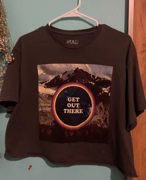 Gray Cropped Tee Size L thumbnail 1