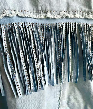 Rhinestone Fringe Jacket  thumbnail 4