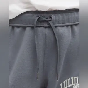 Lululemon NWT Scuba Mid Rise Oversized Fleece Joggers Graphic Solar Grey Size XL thumbnail 5