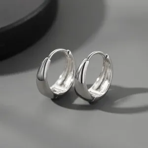 925 Silver Plated Small Hoop Earrings for Men Women, Punk Hip Hop Earrings thumbnail 1