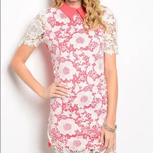 Coral Ivory Floral Lace Collared Sheath Mini Dress Size M NWT thumbnail 2